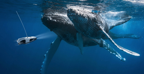 Подводный дрон PowerVision PowerRay Explorer фото 15