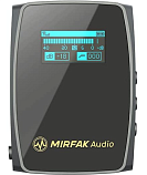 Система Mirfak Audio WE10 Pro Channel Compact Wireless