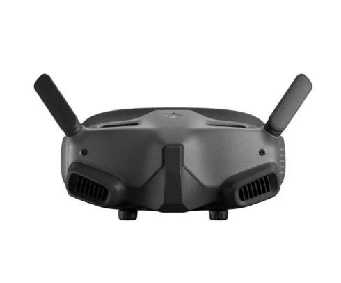 Цифровые очки DJI Goggles 2 фото 1