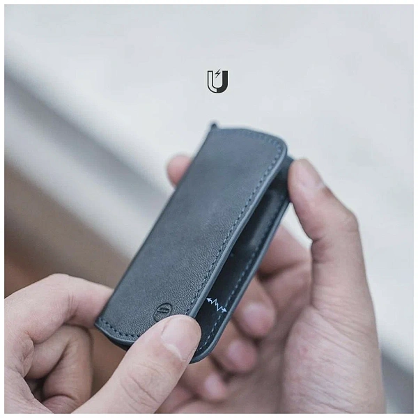 Футляр для карт памяти Pgytech (Deep Navy)