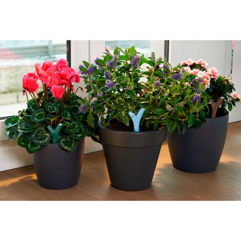 Система контроля за растениями Parrot Flower Power Blue EU3 фото 3