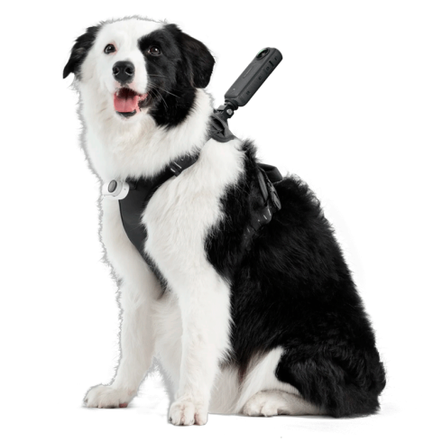 Крепление для животных Pet Harness Mount Size L фото 5