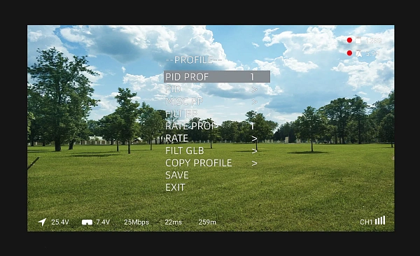 Цифровые очки Walksnail Avatar HD Goggles