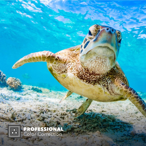 Фильтр PolarPro | Hero8 - Red фото 4