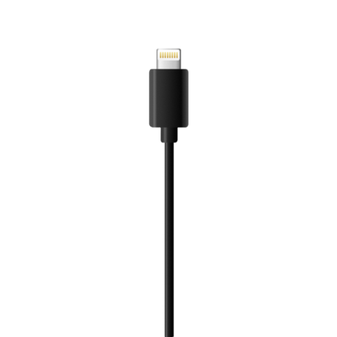 Кабель для iOS Insta360 iOS Transfer Cable One R, One X фото 3