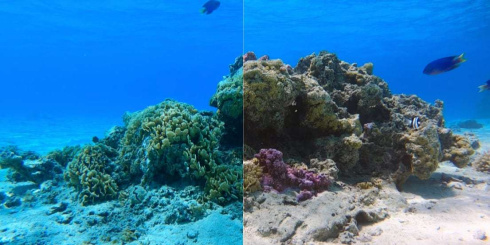 Фильтры PolarPro AQUA на бокс GoPro HERO8 фото 5