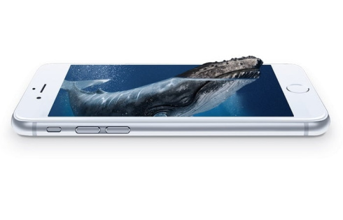 Подводный дрон PowerVision PowerRay Wizard фото 15