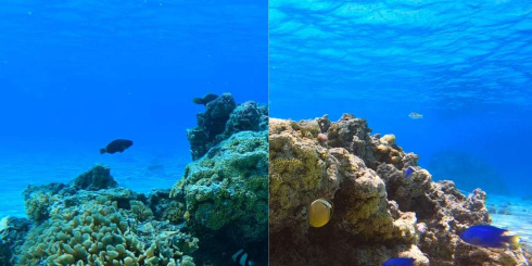 Фильтры PolarPro AQUA на бокс GoPro HERO8 фото 6