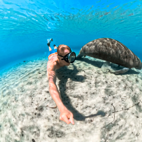 Чехол для дайвинга Insta360 X5 Invisible Dive Case	 фото 6